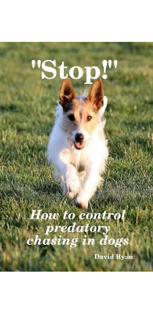 "Stop!" How to control predatory chasing in dogs