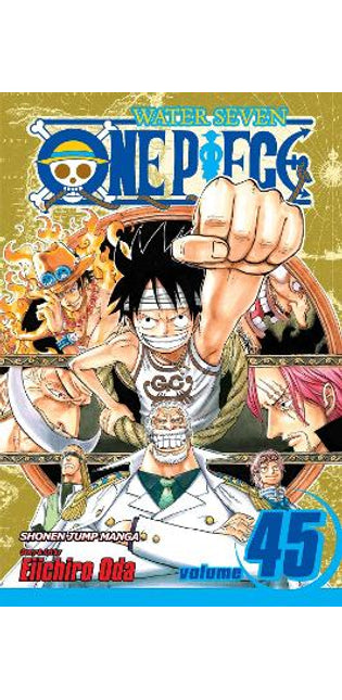 One Piece, Vol. 45