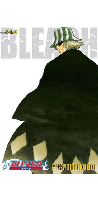 Bleach (3-in-1 Edition), Vol. 2