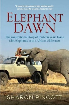 Elephant dawn