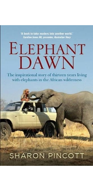 Elephant dawn