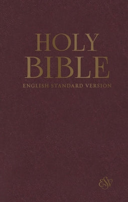 ESV compact burgundy