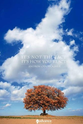 "It's Not the Fact, It's How You React"