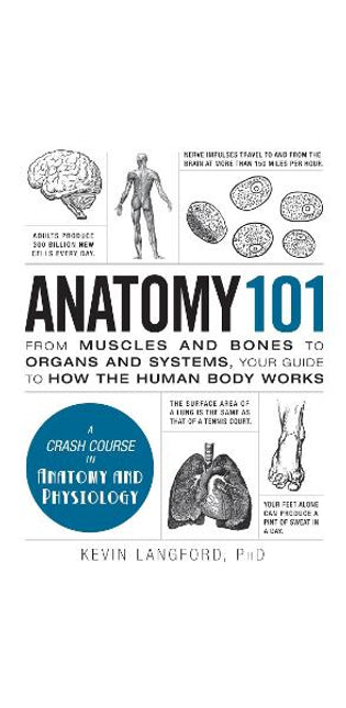 Anatomy 101