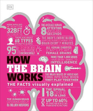 How the Brain Works