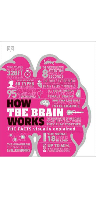 How the Brain Works