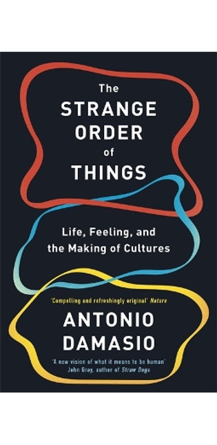Strange Order Of Things