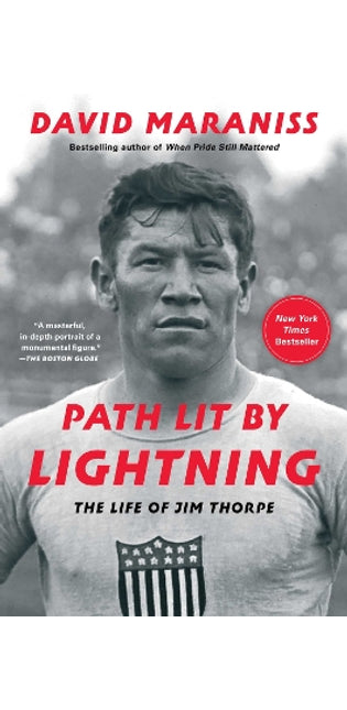 Path Lit by Lightning