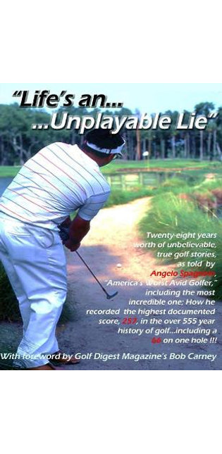 "Life's an Unplayable Lie"