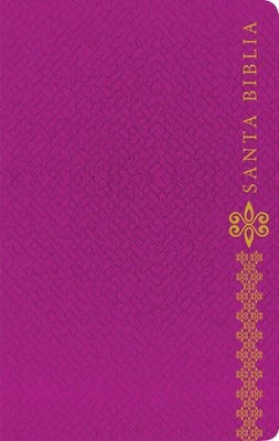 NTV Santa Biblia EdicióN ZíPer