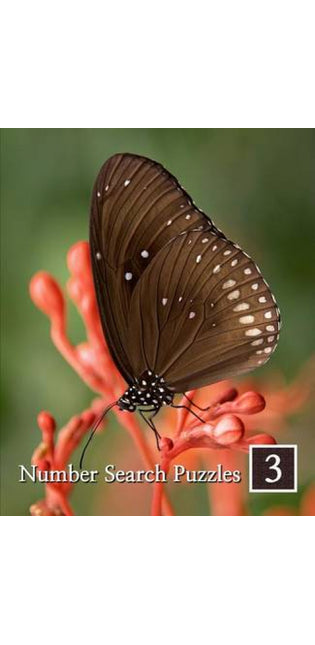 Number Search Puzzles 3