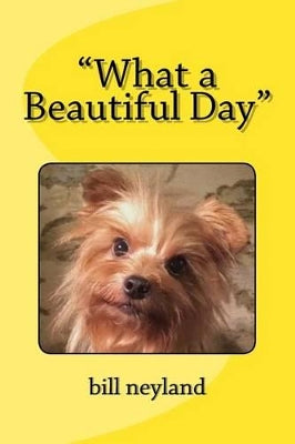 "What a Beautiful Day"