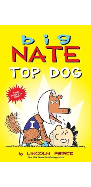 Big Nate: Top Dog