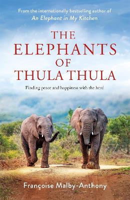 Elephants of Thula Thula