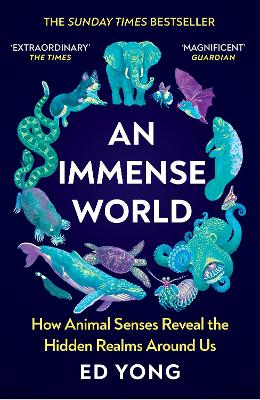 Immense World