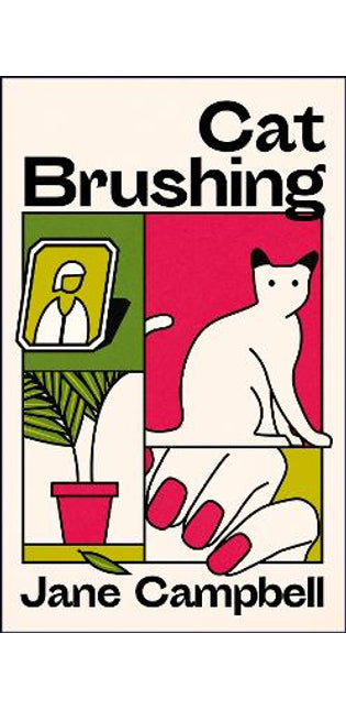 Cat Brushing