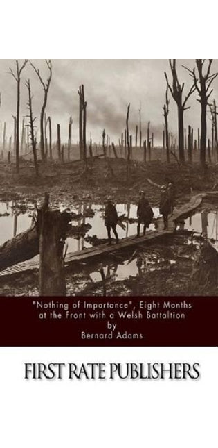 "Nothing of Importance", Eight Months at the Front with a Welsh Battalion