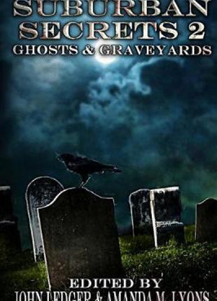 Suburban Secrets 2