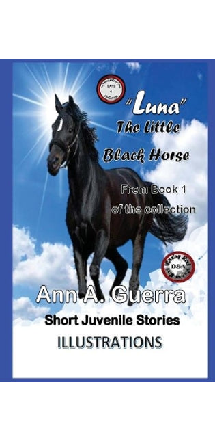 "Luna" The Little Black Horse