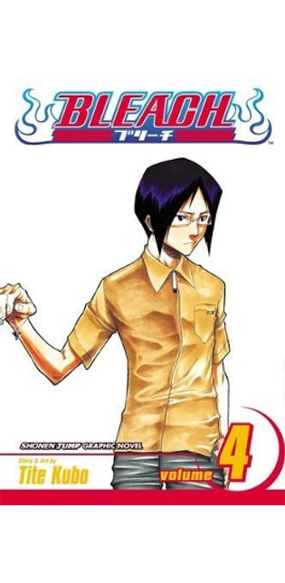 Bleach, Vol. 4