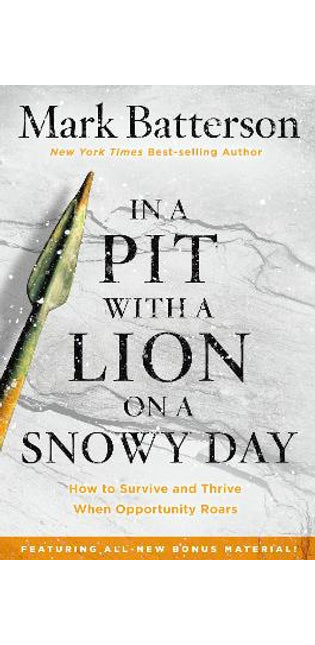 In a Pit with a Lion on a Snowy Day