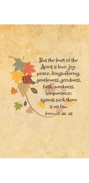 But the fruit of the Spirit is love, joy, peace, longsuffering, gentleness, goodness, faith, meekness, temperance