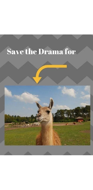 Save the Drama for