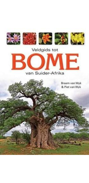 Veldgids tot Bome van Suider-Afrika