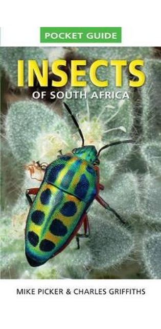 Pocket Guide to Insects of South Africa