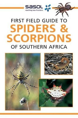 Sasol First Field Guide to Spiders & Scorpions of Southern Africa