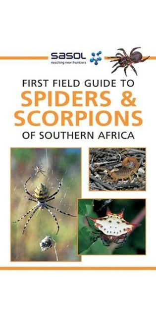 Sasol First Field Guide to Spiders & Scorpions of Southern Africa