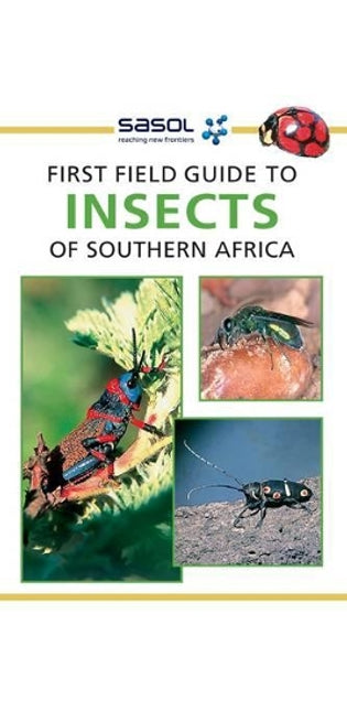 Sasol First Field Guide to Insects of Southern Africa
