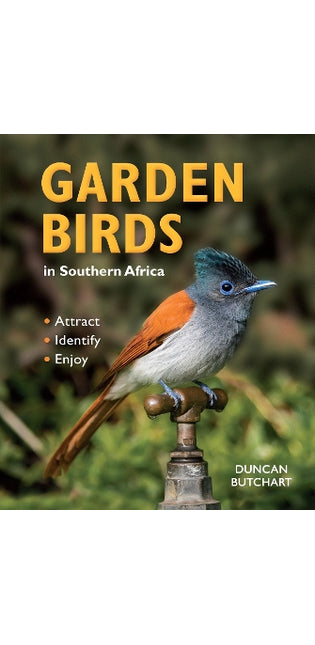 Garden Birds in Southern Africa