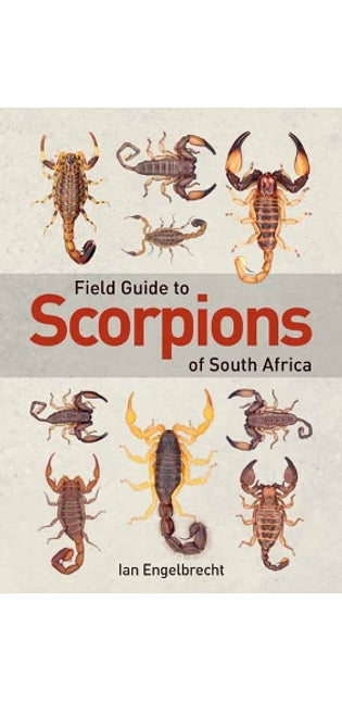Field Guide to Scorpions of South Africa