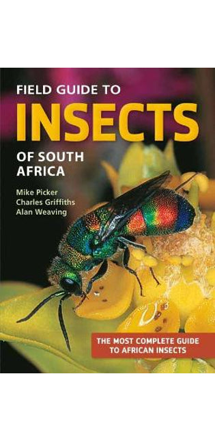 Field Guide to Insects of South Africa