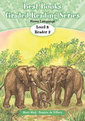 Best Books graded reader: Level 4 Book 3: Gr 2: Reader