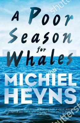 Poor Season for Whales