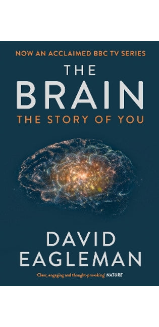 Brain