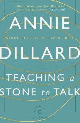 Teaching a Stone to Talk