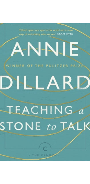 Teaching a Stone to Talk