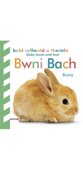 Babi Cyffwrdd a Theimlo: Bwni Bach / Baby Touch and Feel: Bunny