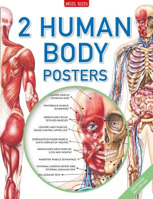 Human Body Poster Pack