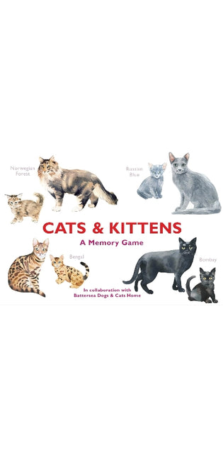 Cats & Kittens
