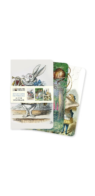 Alice in Wonderland Set of 3 Mini Notebooks