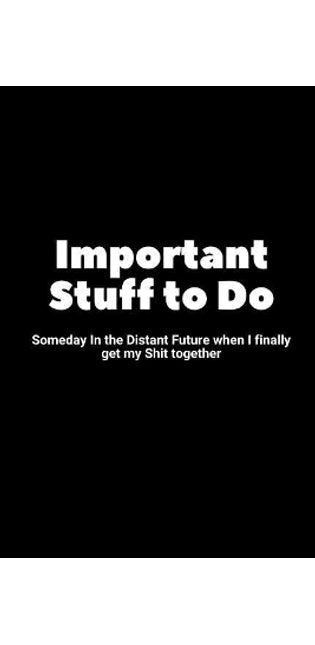 Important Stuff to Do Someday in the Distant Future When I Finally Get My Shit Together