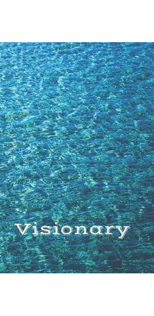 Visionary