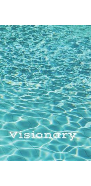 Visionary