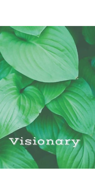 Visionary