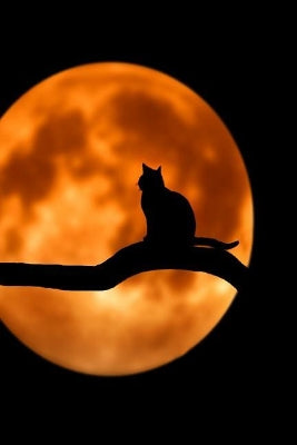 Talking to the Moon