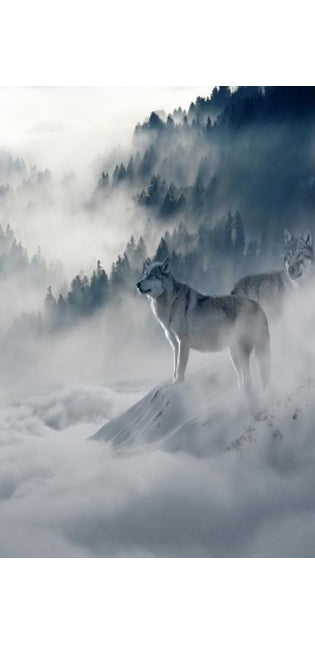 Wolves in the Fog